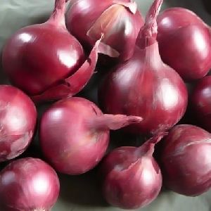 Premium Onion
