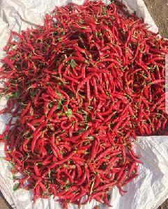 Bright Dried Red Chilli