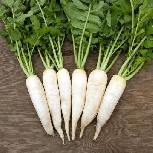 Natural Radish