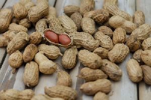 Shelled Groundnuts