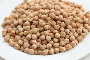 White Chickpeas