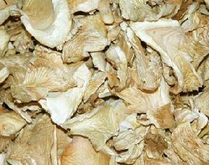 Dried Premium Oyster Mushroom