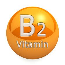 Vitamin B2 Supplement