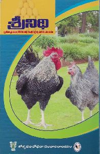Srinidi Poultry Chicks