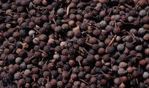 Cardamom Seeds, Packaging Type : Black, Brown, Green