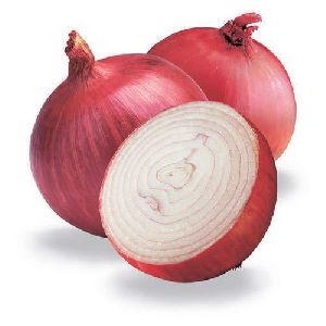 fresh red onion