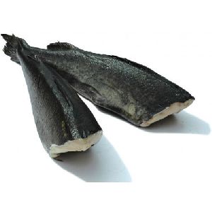 Frozen Black Cod Fish