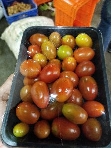 cherry tomato