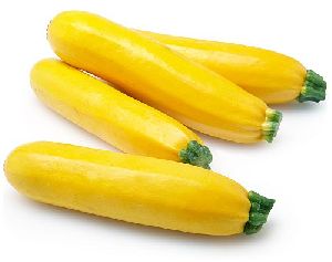 Yellow Zucchini