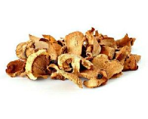 dry oyster mushroom