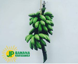 exoprt banana (theni banana)