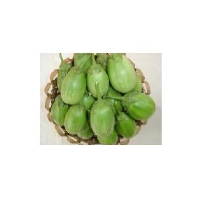 Green Round Brinjal Seeds