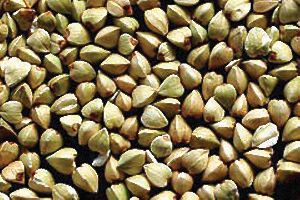 Dried Buckwheat Seeds