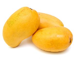 fresh mango