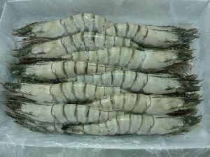 Frozen Black Tiger Shrimp