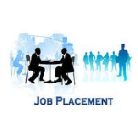 Domestic Placement Services