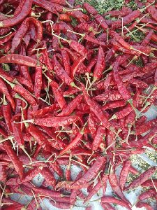 Byadigi Dry Red Chilli