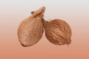 Semi Husked Pooja Coconut