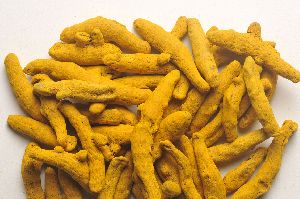 dried turmeric finger