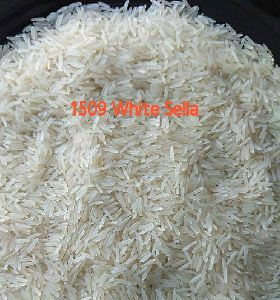 1509 White Sella Rice