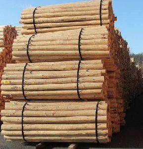 CCA Treated Pine Timber