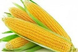 sweet corn