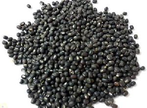 urad dal