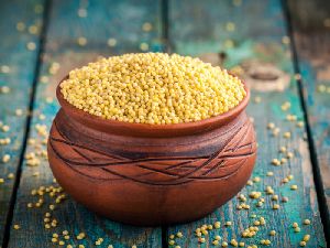 Natural Millet Seeds