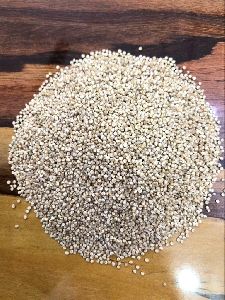 quinoa seed