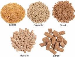 animal protein feed