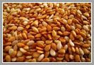Roasted / Toasted Sesame seeds