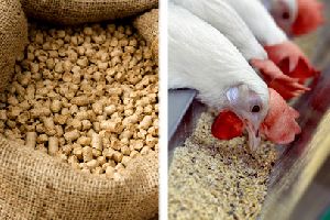 Animal Feed Poultry Feeds
