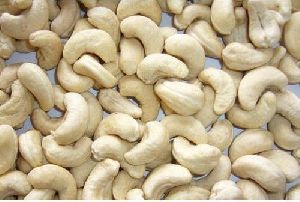 Fresh Cashew Nuts