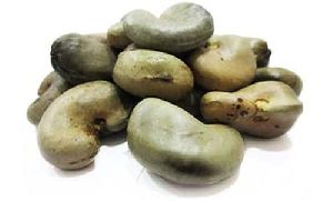 Shelled Cashew Nuts