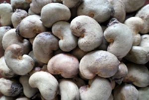 Whole Raw Cashew Nuts