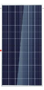 TALLMAX Multicrystalline Solar Panel