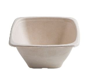 bagasse bowl