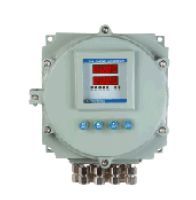 Flameproof Dual Channel Gas Monitor