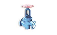 globe valve