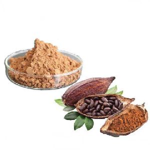 Cocoa Seed Extract Powder