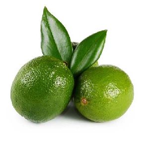 Lime Hydrosol