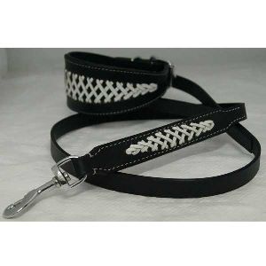 Hound Dog Collar Leash