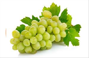 Organic Grapes