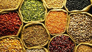 organic pulses