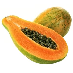 Fresh Organic Papaya Plant
