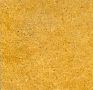 Indus Gold Marble Tiles