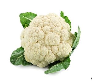 fresh cauliflower