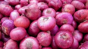 fresh onion