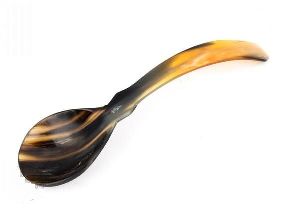 Horn Spoon