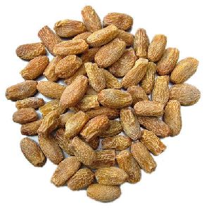 Organic Dry Dates, Feature : Rich In Protein, Soft, Sweet